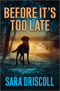Before It’s Too Late - Sara Driscoll