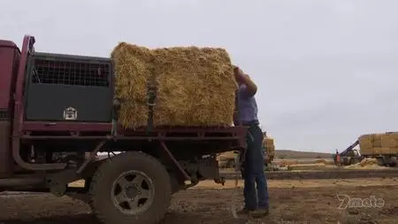 Outback Truckers S08E09