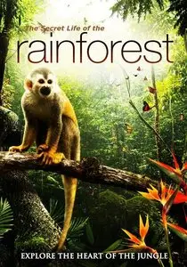 Electricsky - The Secret Life of the Rainforest (2012)