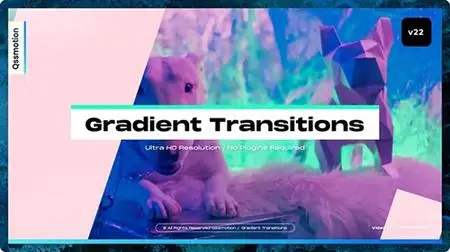 Gradient Transitions 36064993