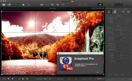 Snapheal Pro 1.2 (771) Multilangual Mac OS X