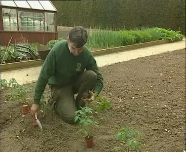 A Practical Guide To: Vegetable Growing, Making A Small Garden, Small Greenhouse and Conservatory