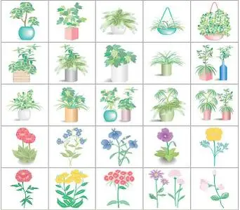 AP Total Design - Folliage Plants & Flowers