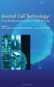 Animal cell technology: from biopharmaceuticals to gene therapy