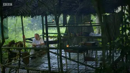 BBC - Bill Bailey's Jungle Hero (2013)