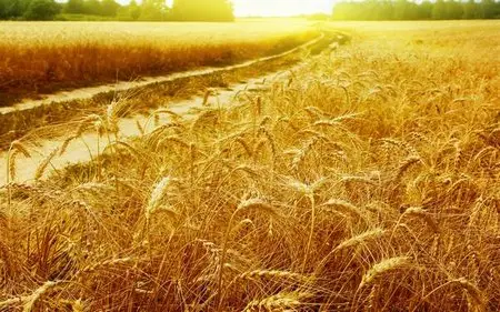 HD Wallpapers Wide Pack #52