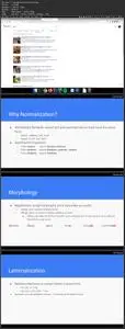 Natural Language Processing (Building Real World Projects)