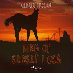 «King of Sunset i USA» by Ulrika Ekblom