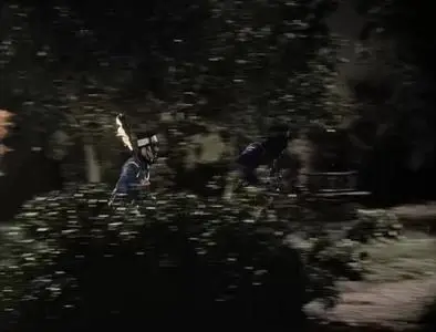 The Mark of Zorro (1940)