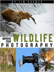 Improve Your Wildlife Photography