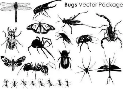 Bugs Vectors Collection
