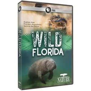 PBS - Nature: Wild Florida (2020)