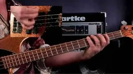 Stu Hamm U: Bass Basics