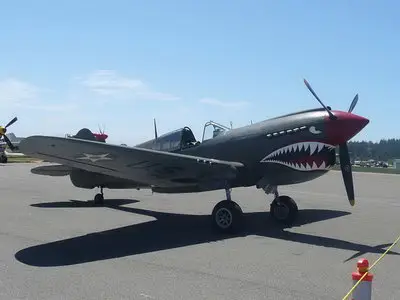 Curtiss P-40E-CU Warhawk Walk Around