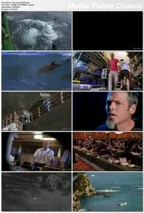 The Cove (2009)