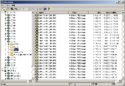 WhatDisc.v1.1.WinAll-CRD