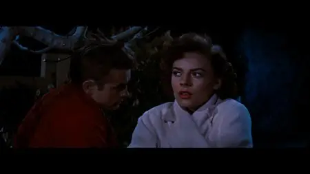 Rebel Without a Cause (1955)