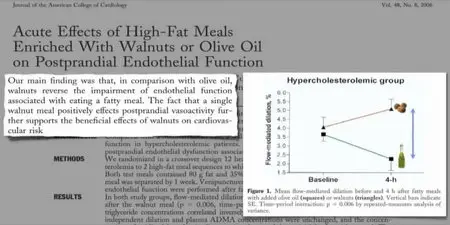 Latest in Clinical Nutrition - Volume 18