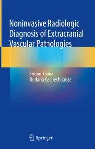 Noninvasive Radiologic Diagnosis of Extracranial Vascular Pathologies (Repost)