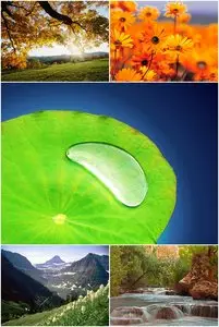 Wallpapers - Nature MIX Pack