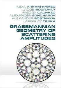Grassmannian Geometry of Scattering Amplitudes