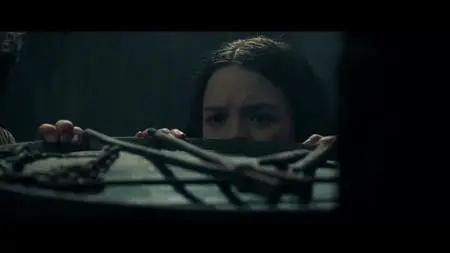 Zoo (2018)