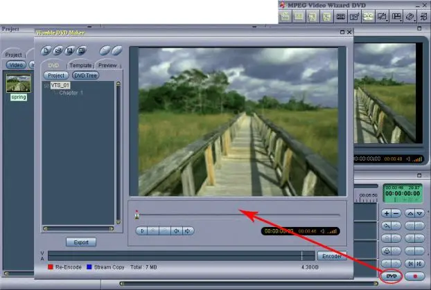 Womble MPEG Video Wizard DVD 4.0.4.110 (092008) + Rus