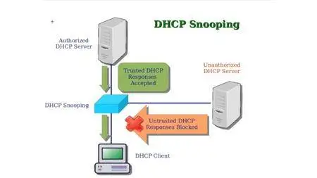 CCNP Routing and Switching SWITCH 300-115 Exam Prep