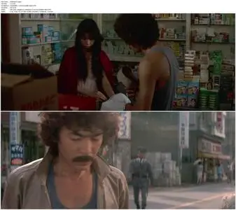 Secret Honeymoon: Rape Train (1977)