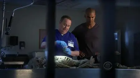 Criminal Minds S05E05