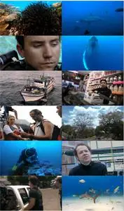 Sharkwater (2006)