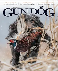Gun Dog - Winter 2026