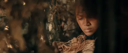 In the Fire of War (2024)