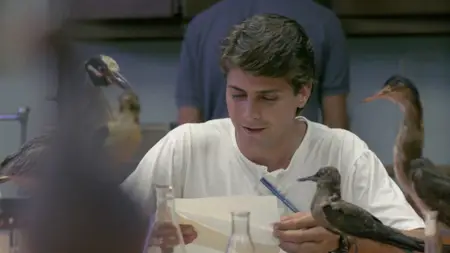 Zombie 5: Killing Birds (1988)