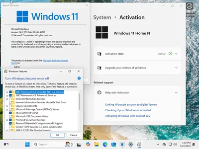 Windows 11 AIO 16in1 24H2 Build 26100.4656 (No TPM Required) Preactivated Multilingual July 2025