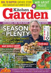 Kitchen Garden - November 2025
