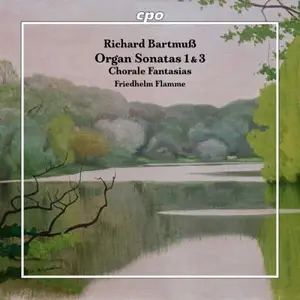Friedhelm Flamme - Richard Bartmuß: Organ Sonatas 1 & 3 - Chorale Fantasias (2026) [Official Digital Download]