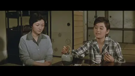 Daughters, Wives, Mother (1960)