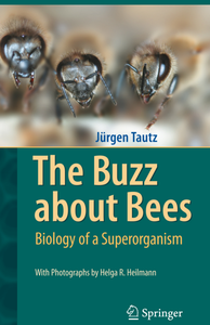 Jürgen Tautz - The Buzz about Bees: Biology of a Superorganism