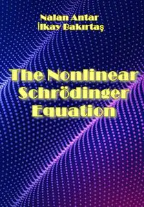 "The Nonlinear Schrödinger Equation" ed. by Nalan Antar, İlkay Bakırtaş