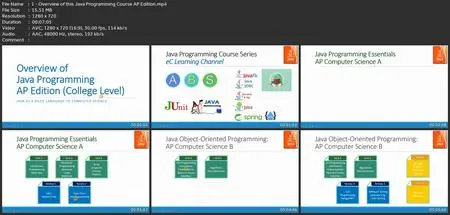 Java Object-Oriented Programming: Ap Computer Science B