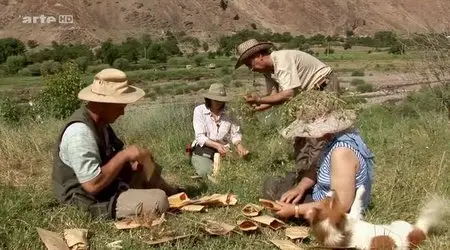 (Arte) Chasseur de graines (2013)
