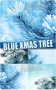 Blue xmas tree - UHQ Stock Photo