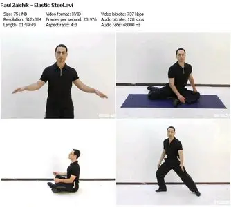 Elastic Steel - Everything You Ever Wanted To Know About Splits Paul Zaichik (2009)