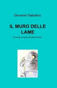 IL MURO DELLE LAME