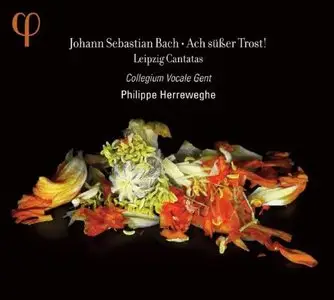 J.S.Bach - Ach susser Trost! - Leipzig Cantatas