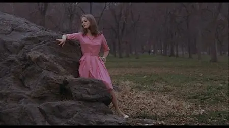 Puzzle of a Downfall Child (1970)