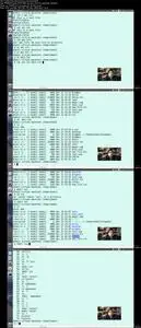Bash Shell scripting and automation (Updated)