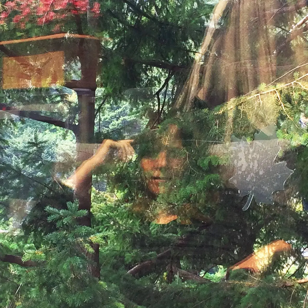 Jennifer Castle - Angels Of Death (2018)