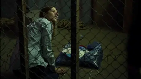 Charlie Zone (2011)